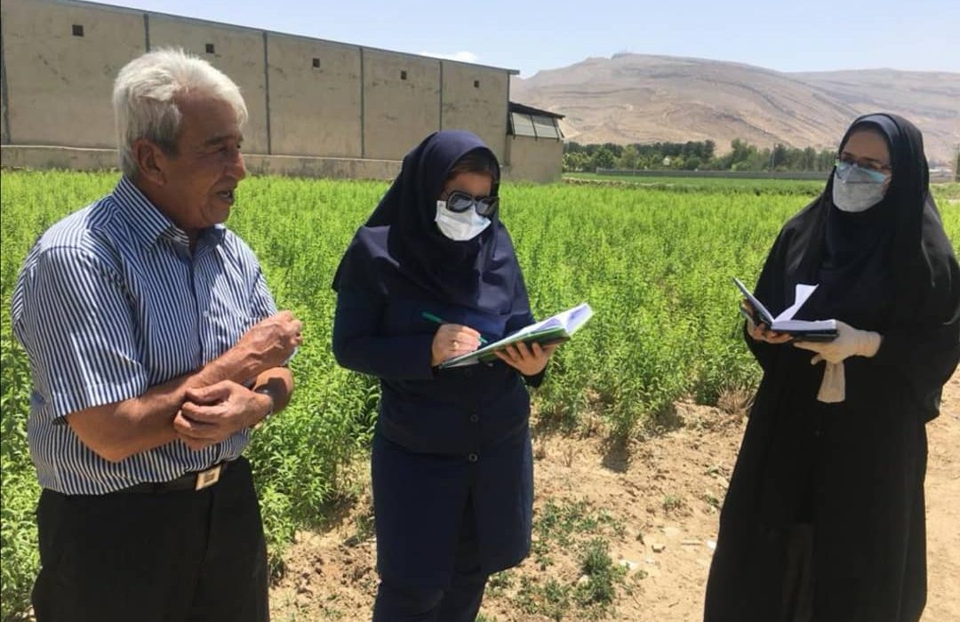 آغاز طرح نسخه نویسی گیاه پزشکی در شیراز