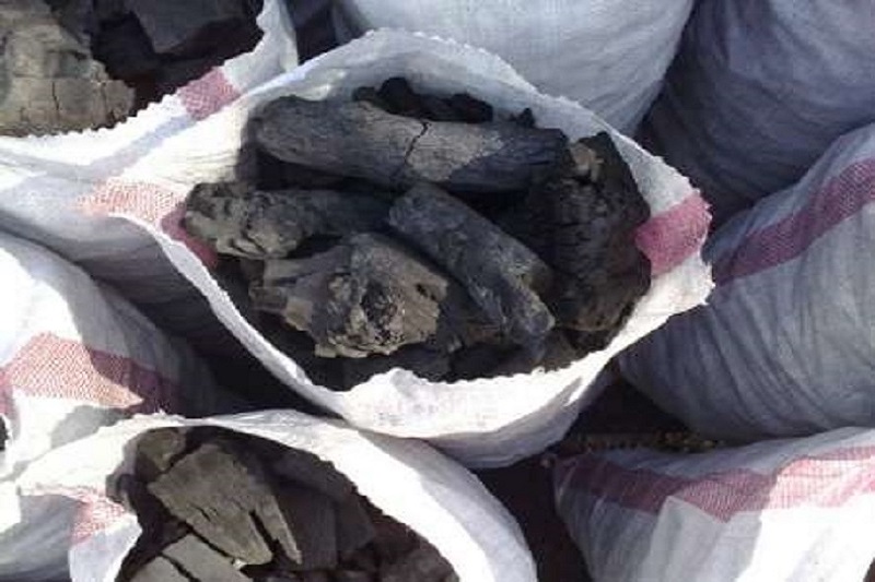 تخریب دو کوره غیر مجاز زغال و کشف و ضبط ۱۴ کیسه گونی زغال در شهرستان کازرون
