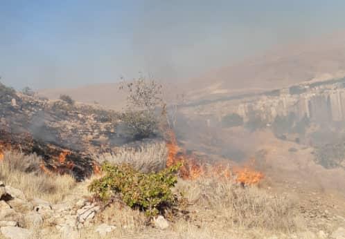 آتش سوزی در عرصه‌های دراک مهار شد