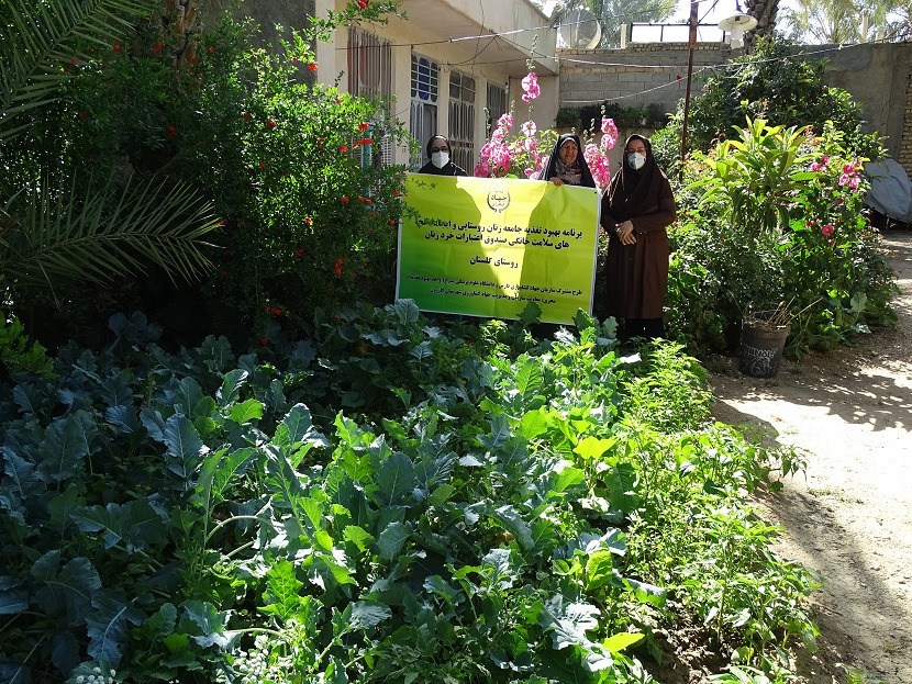 اجرای طرح بهبود تغذیه زنان روستایی و ایجاد باغچه های خانگی در کازرون