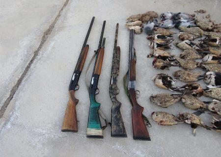 شکارچیان کبک وحشی در استهبان دستگیر شدند