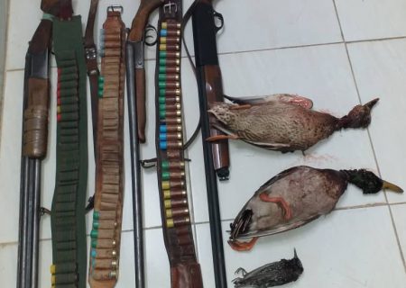 کشف و ضبط ۳ قبضه اسلحه و لاشه دو فرد مرغابی وحشی و دو فرد سار وحشی در فیروزآباد