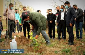 گزارش تصویری | گردهمایی خانوادگی اصحاب رسانه به مناسبت روز درختکاری در شیراز