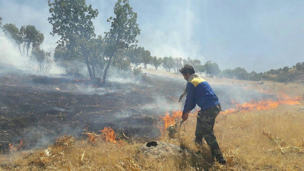 مهار آتش سوزی در منطقه حفاظت شده ارژن