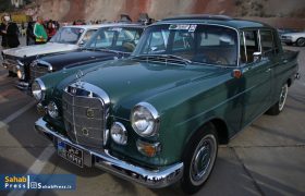 گزارش تصویری | گردهمایی خودروهای تاریخی و کلاسیک در شیراز