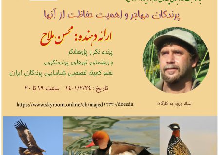 برگزاری وبینار اهمیت حفاظت از پرندگان مهاجر به مناسبت روز جهانی پرندگان مهاجر در استان فارس