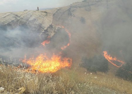 کاهش ۹۷ درصدی آتش سوزی در عرصه های منابع طبیعی فارس