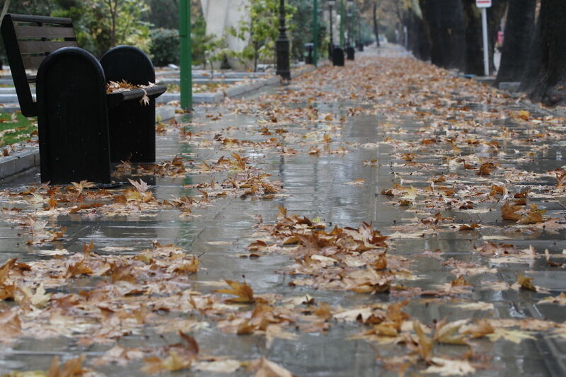 میانگین بارش در فارس افزایش ۶.۶ میلی‌متر افزایش داشته است