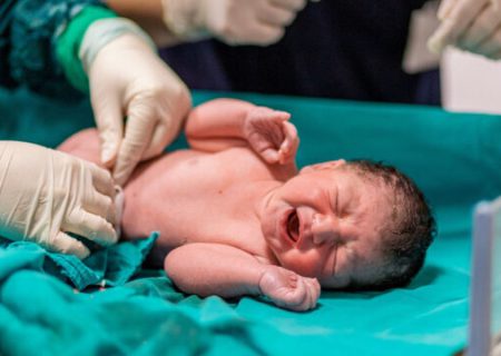 تولد ۷۴۴ نوزاد طی هفته نخست فروردین در فارس