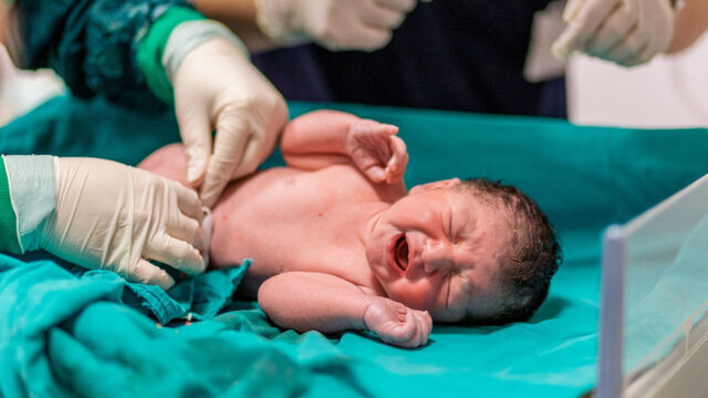 تولد ۷۴۴ نوزاد طی هفته نخست فروردین در فارس