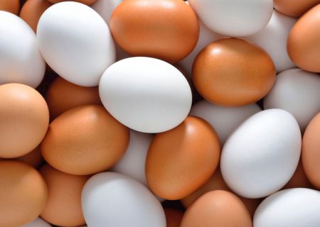 کشف محموله تخم‌مرغ قاچاق در بوانات