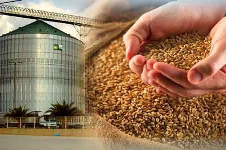 فعال شدن مراکز خرید گندم در خُنج