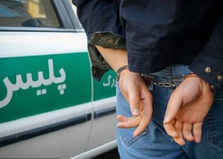 ضارب پلیس در کوه‌چنار فارس دستگیر شد