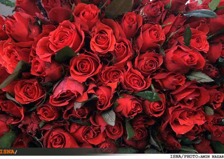 حضور فارس در بازارهای بین‌المللی گل با راه‌اندازی بارانداز گل‌های تزیینی 
