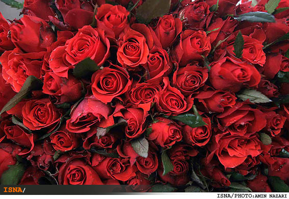 حضور فارس در بازارهای بین‌المللی گل با راه‌اندازی بارانداز گل‌های تزیینی 