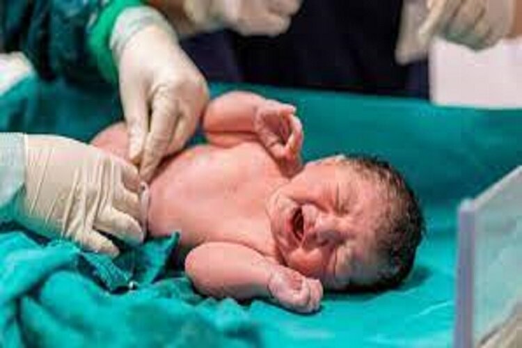 بهار امسال روزانه ۱۳ نوزاد در بیمارستان شوشتری شیراز متولد شده‌اند