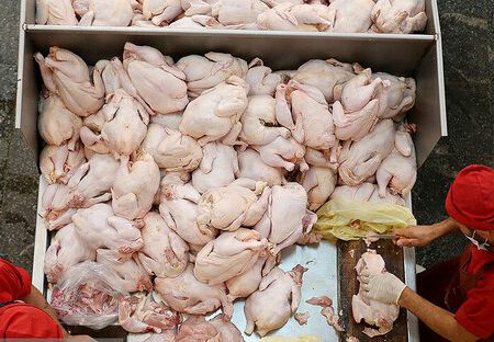 جریمه ۳۰ میلیارد تومانی تولیدی متخلف مرغ در فارس