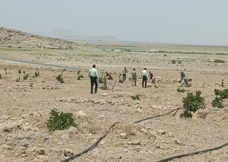 رفع تصرف از ۱۳ هزار مترمربع اراضی ملی شهرستان “خرامه”