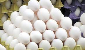 تولید ۴۱۰۰ تن تخم مرغ در کوار