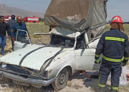 برخورد خودرو به شتر در شیراز یک کشته داد