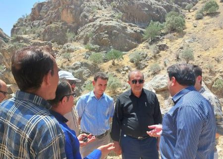 حفاظت از اراضی کشاورزی کوهمره‌سرخی شیراز از بحران محیط‌زیستی جلوگیری خواهد کرد