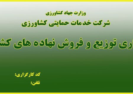 گزارش صدور حواله الکترونیک در استان فارس