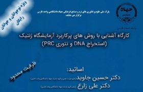 برگزاری کارگاه “آشنایی با روش‌های پرکاربرد آزمایشگاه ژنتیک” در شیراز