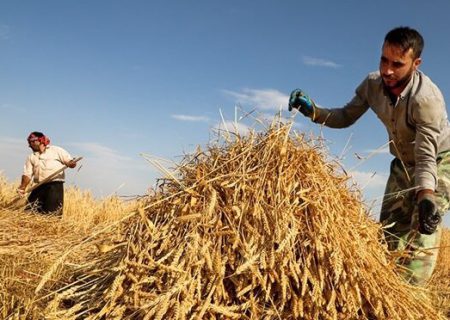پرداخت ۱۵ هزار میلیارد تومان مطالبه کشاورزان فارس در سفر رئیس جمهور