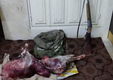 شکارچیان متخلف در بوانات فارس دستگیر شدند