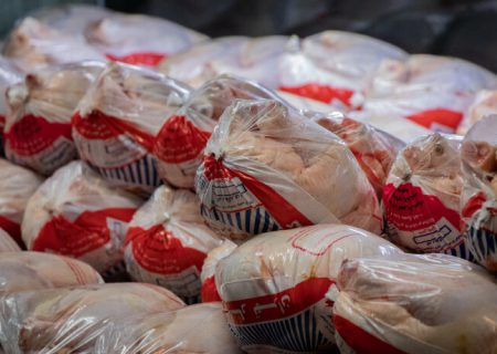 توزیع مرغ منجمد جهت تنظیم بازار در فارس از امروز