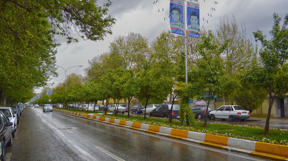 تمام درختان شیراز دارای شناسنامه دیجیتال می‌شوند