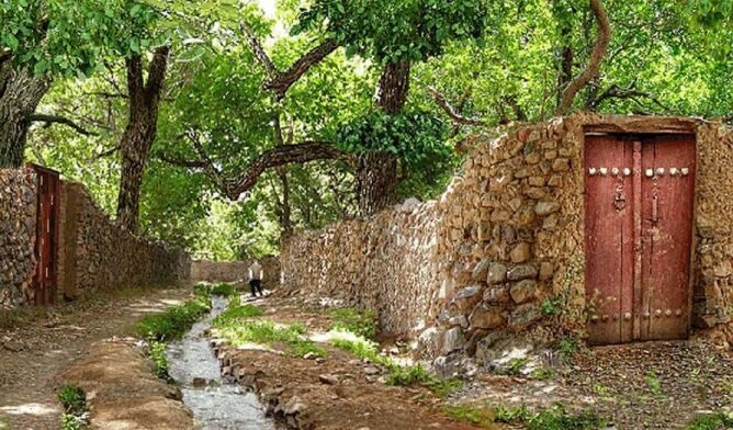 حفظ باغات قصردشت شیراز با مشارکت باغداران امکان‌پذیر است
