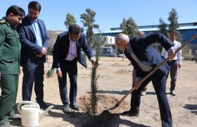 کاشت ۱۰ هزار درخت در شهرک‌های صنعتی فارس