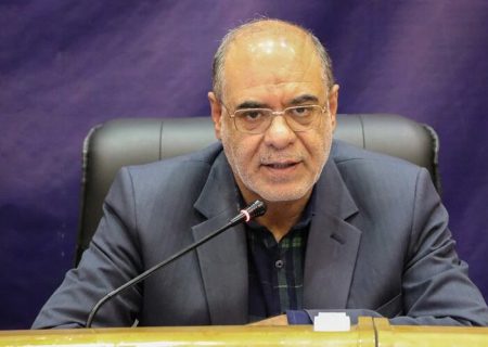 ‌مدیرکل بنیاد شهید فارس از حضور مردم در انتخابات قدردانی کرد