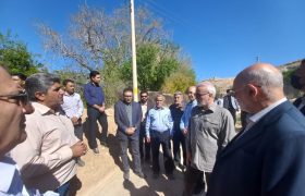 از پیشنهاد سیاست‌های تشویقی برای صیانت از باغات تا مدیریت آب به‌عنوان اولویت اصلی شهرداری شیراز