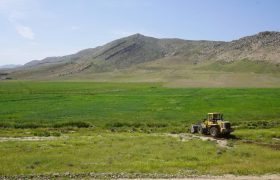 امحای محصولات کشاورزی کاشته شده با آب‌های غیرمتعارف در شیراز