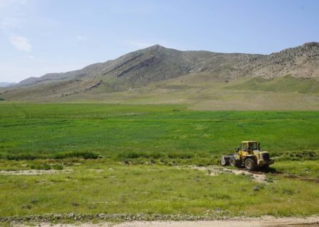 امحای محصولات کشاورزی کاشته شده با آب‌های غیرمتعارف در شیراز
