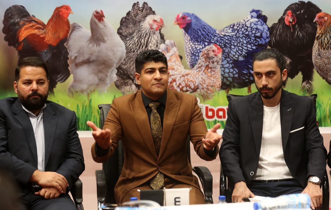 رشد چشمگیر تولیدکنندگان شرکت‌کننده در دومین جشنواره ماکیان زینتی ایران در شیراز