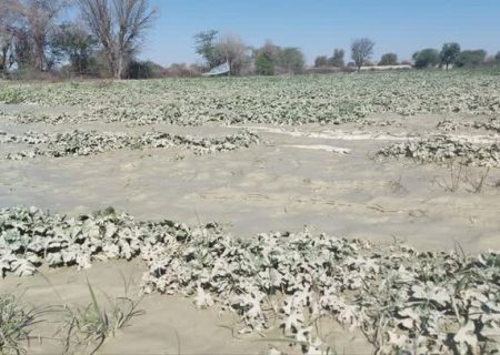 خسارت ۴۸ هزار میلیارد ریالی سیل اردیبهشت ماه به بخش کشاورزی فارس