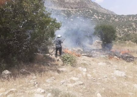 ‌ آتش‌سوزی در منطقه حفاظت شده تنگ بستانک مرودشت مهار شد 