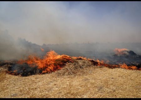 کشاورزان از آتش زدن بقایای گیاهی مزارع خودداری کنند