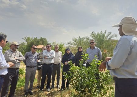 بر ضرورت بهره مندی از تجربیات باغداران در مبارزه با آفات گیاهی تاکید کرد