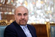 رئیس ستاد انتخاباتی محمدباقر قالیباف در فارس معرفی شد