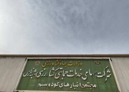 بیش از ۷۰۰ تن نهاده کشاورزی برای توزیع به شهرستان بیضاء ارسال شد