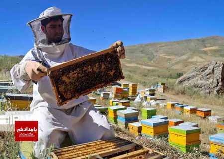 طرح ملی سرشماری زنبورستان‌های بیضا همزمان با دیگر نقاط کشور آغاز شد