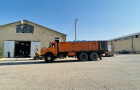 شرکت خدمات حمایتی کشاورزی استان فارس در پنج ماه نخست سال جاری مقدار ۱۴۰۱ تن انواع کود کشاورزی را به شهرستان کوار ارسال و توزیع کرد