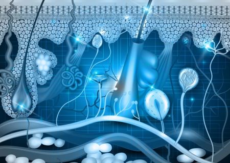 امکان جوان‌سازی پوست با دستاورد محققان کشور