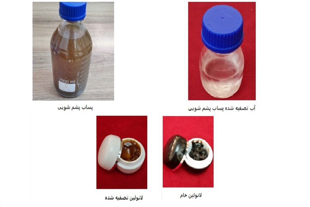 بومی‌سازی فناوری تصفیه پساب پشم‌شویی و تولید لانولین/پیوستن ایران به جمع ۶ کشور صاحب این فناوری