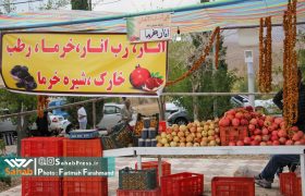 گزارش تصویری| جشنواره انار و خرما شهرستان خاوران فارس