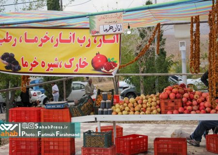 گزارش تصویری| جشنواره انار و خرما شهرستان خاوران فارس